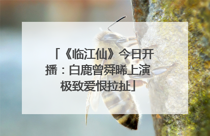 《临江仙》今日开播：白鹿曾舜晞上演极致爱恨拉扯