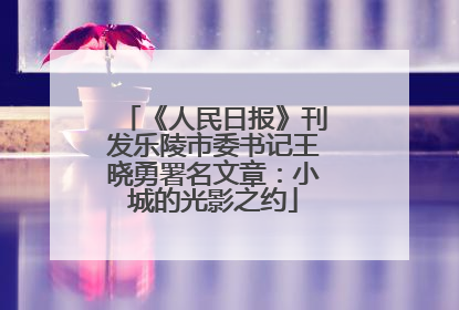 《人民日报》刊发乐陵市委书记王晓勇署名文章：小城的光影之约