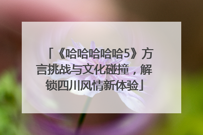 《哈哈哈哈哈5》方言挑战与文化碰撞，解锁四川风情新体验