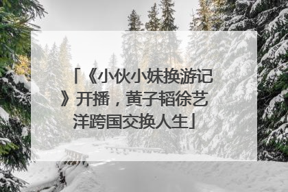 《小伙小妹换游记》开播，黄子韬徐艺洋跨国交换人生