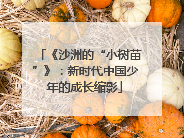 《沙洲的“小树苗”》：新时代中国少年的成长缩影