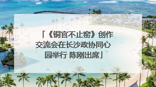 《铜官不止窑》创作交流会在长沙政协同心园举行 陈刚出席