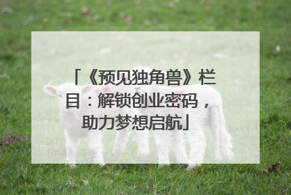 《预见独角兽》栏目：解锁创业密码，助力梦想启航