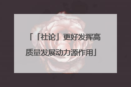 「社论」更好发挥高质量发展动力源作用