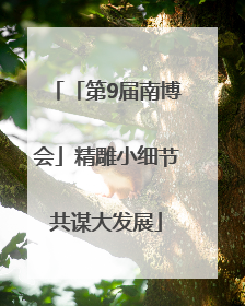 「第9届南博会」精雕小细节共谋大发展