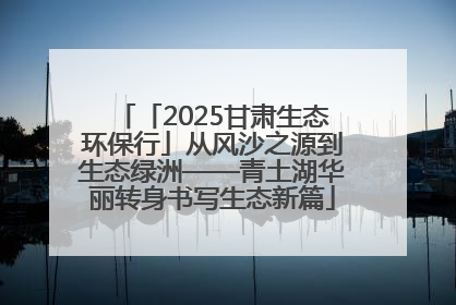 「2025甘肃生态环保行」从风沙之源到生态绿洲——青土湖华丽转身书写生态新篇