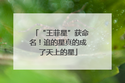 “王菲星”获命名！追的星真的成了天上的星