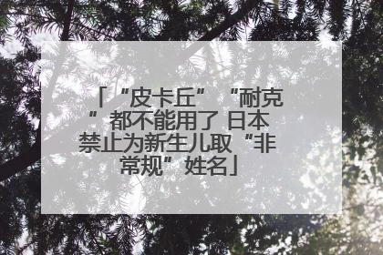 “皮卡丘”“耐克”都不能用了 日本禁止为新生儿取“非常规”姓名