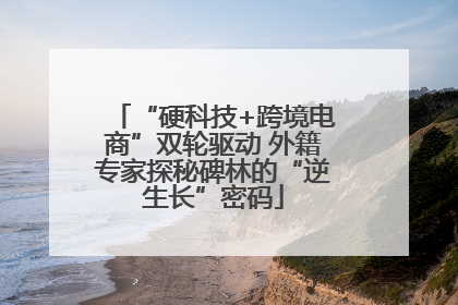 “硬科技+跨境电商”双轮驱动 外籍专家探秘碑林的“逆生长”密码