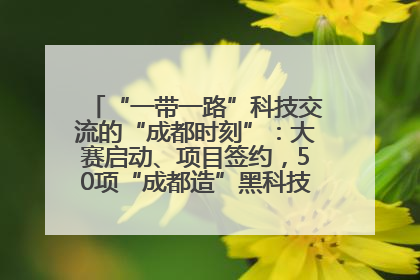 “一带一路”科技交流的“成都时刻”：大赛启动、项目签约，50项“成都造”黑科技吸引多国客商