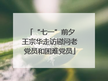 “七一”前夕 王宗华走访慰问老党员和困难党员