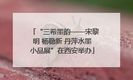 “三希墨韵——宋黎明 杨稳新 丹萍水墨小品展”在西安举办