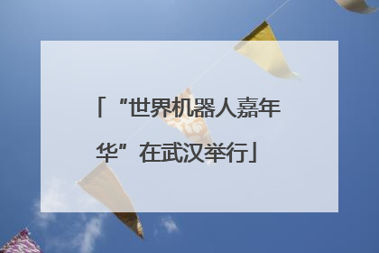 “世界机器人嘉年华”在武汉举行