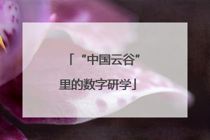 “中国云谷”里的数字研学