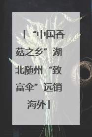 “中国香菇之乡”湖北随州“致富伞”远销海外