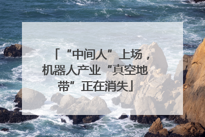 “中间人”上场，机器人产业“真空地带”正在消失