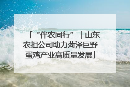 “伴农同行”｜山东农担公司助力菏泽巨野蛋鸡产业高质量发展