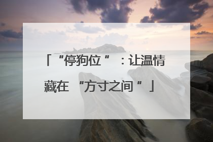 “停狗位 ”：让温情藏在 “方寸之间 ”
