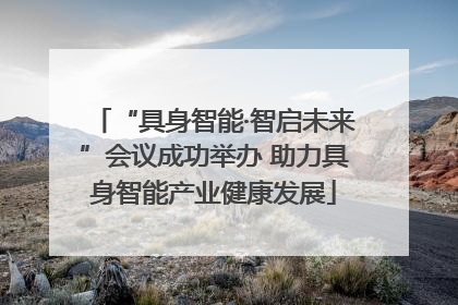“具身智能·智启未来”会议成功举办 助力具身智能产业健康发展