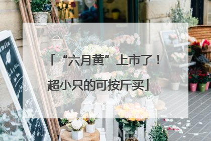 “六月黄”上市了！超小只的可按斤买