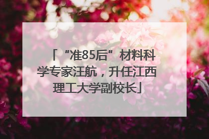 “准85后”材料科学专家汪航，升任江西理工大学副校长