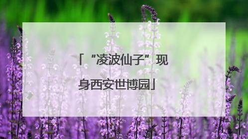 “凌波仙子”现身西安世博园