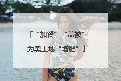 “加餐”“盖被” 为黑土地“增肥”