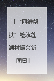 “四维帮扶”绘就莲湖村振兴新图景