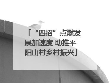 “四招”点燃发展加速度 助推平阳山村乡村振兴