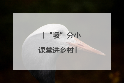 “圾”分小课堂进乡村