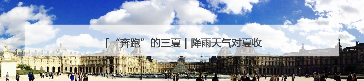 “奔跑”的三夏｜降雨天气对夏收有何影响？该如何防范？一文了解