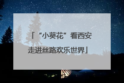 “小葵花”看西安走进丝路欢乐世界