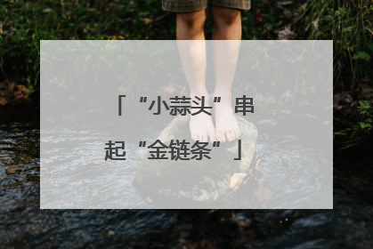 “小蒜头”串起“金链条”