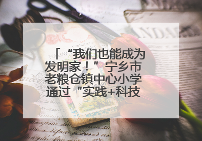 “我们也能成为发明家！”宁乡市老粮仓镇中心小学通过“实践+科技”模式，为乡村娃探索教育新路径