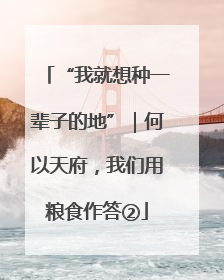 “我就想种一辈子的地”｜何以天府，我们用粮食作答②