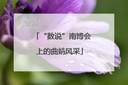 “数说”南博会上的曲靖风采