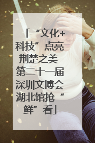 “文化+科技”点亮荆楚之美 第二十一届深圳文博会湖北馆抢“鲜”看