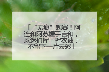 “无痕”观赛！阿连和阿苏握手言和，球迷们挥一挥衣袖，不留下一片云彩