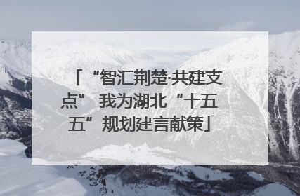 “智汇荆楚·共建支点” 我为湖北“十五五”规划建言献策