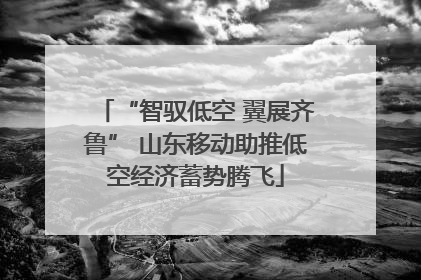 “智驭低空 翼展齐鲁” 山东移动助推低空经济蓄势腾飞