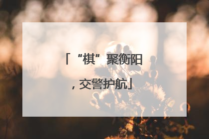 “棋”聚衡阳，交警护航