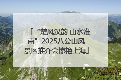 “楚风汉韵 山水淮南”2025八公山风景区推介会惊艳上海