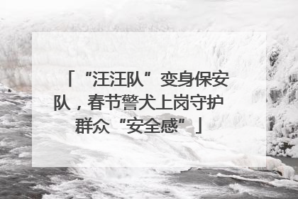 “汪汪队”变身保安队，春节警犬上岗守护群众“安全感”