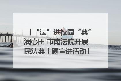 “法”进校园“典”润心田 市南法院开展民法典主题宣讲活动