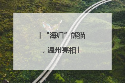 “海归”熊猫，温州亮相