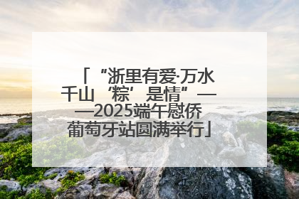 “浙里有爱·万水千山‘粽’是情”——2025端午慰侨葡萄牙站圆满举行