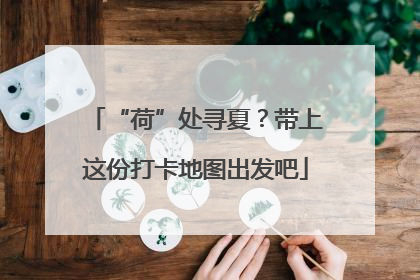 “荷”处寻夏？带上这份打卡地图出发吧