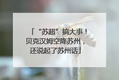“苏超”搞大事！贝克汉姆空降苏州，还说起了苏州话