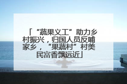 “蔬果义工”助力乡村振兴，归国人员反哺家乡，“果蔬村”村美民富香飘远近