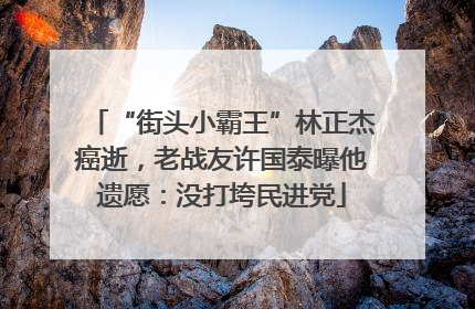 “街头小霸王”林正杰癌逝，老战友许国泰曝他遗愿：没打垮民进党